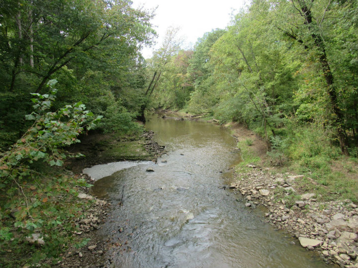 Cache River